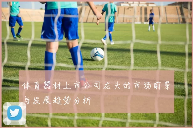 体育器材上市公司龙头的市场前景与发展趋势分析